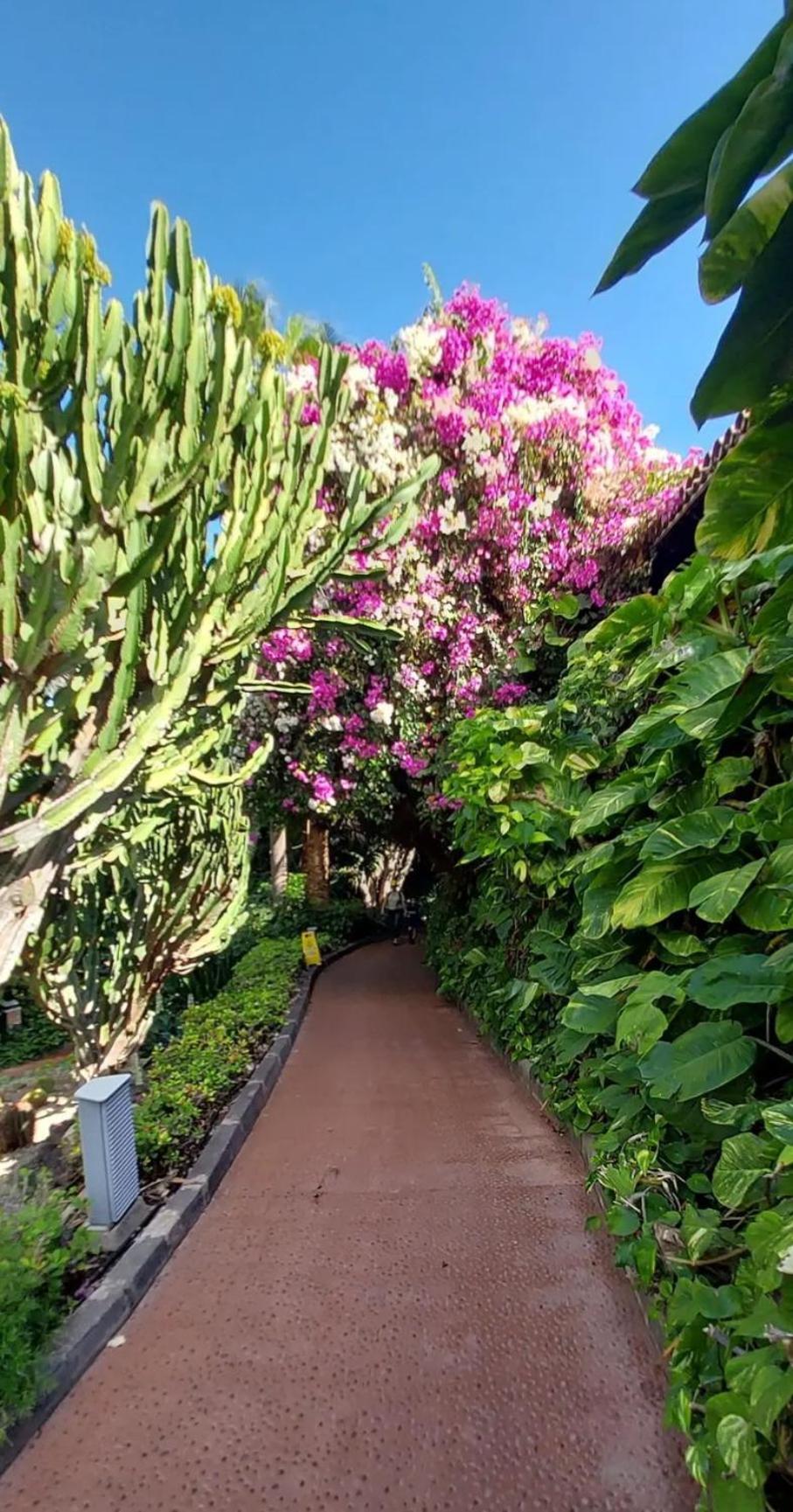 "Cathy'S Home"- Apart Luxury - Adult Only - Large Terrace Private Puerto de Santiago  Bagian luar foto